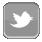Seguici su Twitter